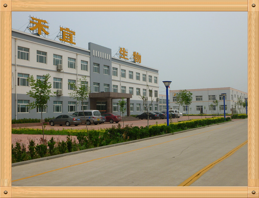 Κίνα Weifang Heyi Agrochemical Co.,Ltd Εταιρικό Προφίλ